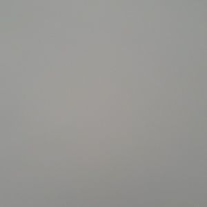 Meet your Posher, Pedro